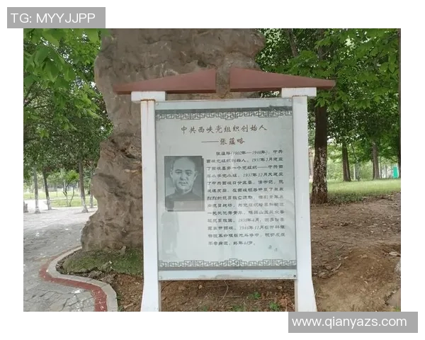 上海排球队的拼搏之路：一段不屈不挠的奋斗纪实与成长故事